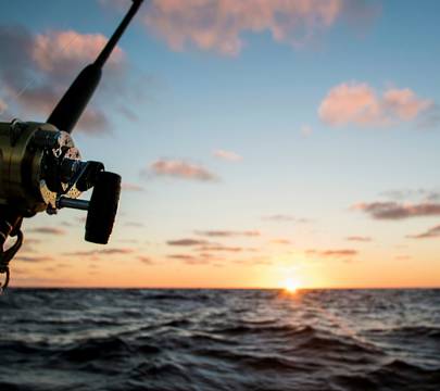 Fishing